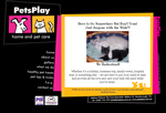 PetsPlay Home and Pet Care